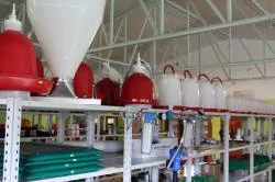 Наш магазин2